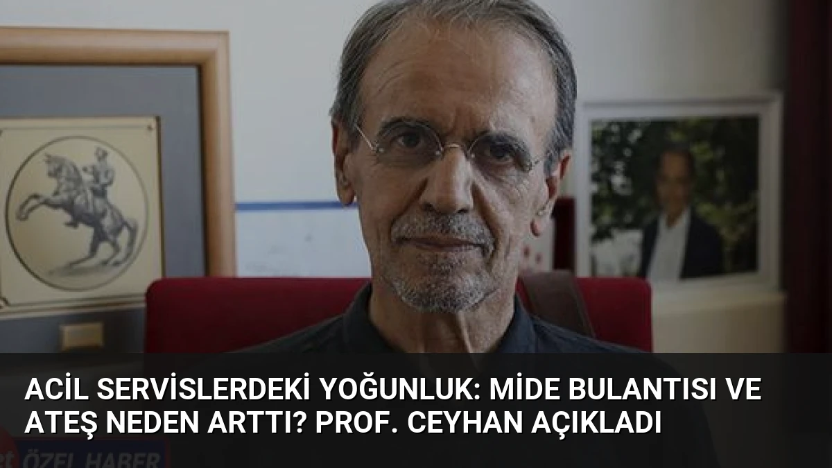 Acil Servislerdeki Yoğunluk: Mide Bulantısı ve Ateş Neden Arttı? Prof. Ceyhan Açıkladı