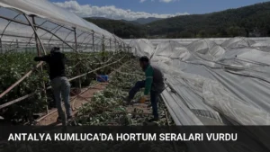 Antalya Kumluca'da Hortum Seraları Vurdu