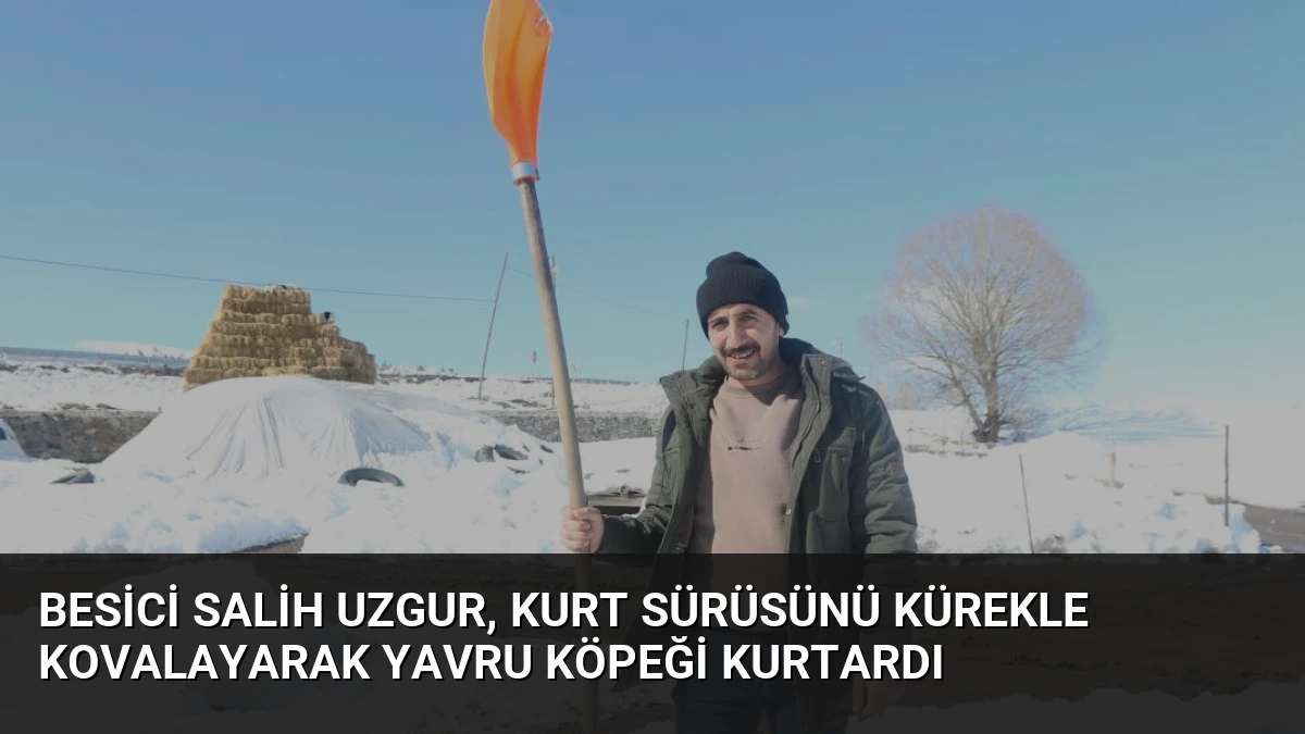 Besici Salih Uzgur, Kurt Sürüsünü Kürekle Kovalayarak Yavru Köpeği Kurtardı