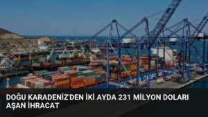Doğu Karadeniz'den İki Ayda 231 Milyon Doları Aşan İhracat