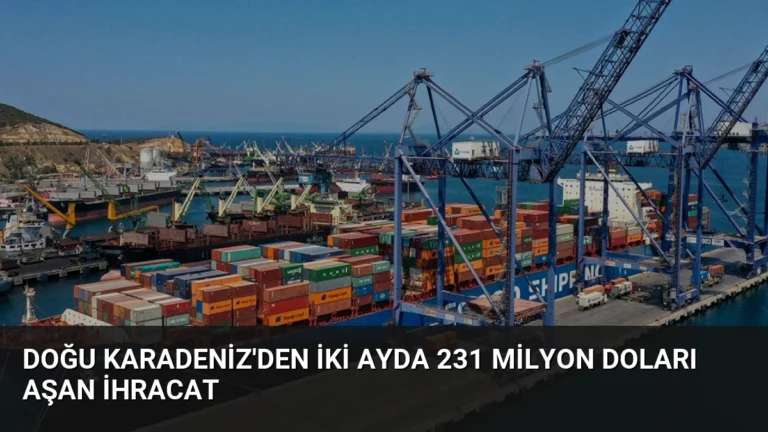 Doğu Karadeniz’den İki Ayda 231 Milyon Doları Aşan İhracat