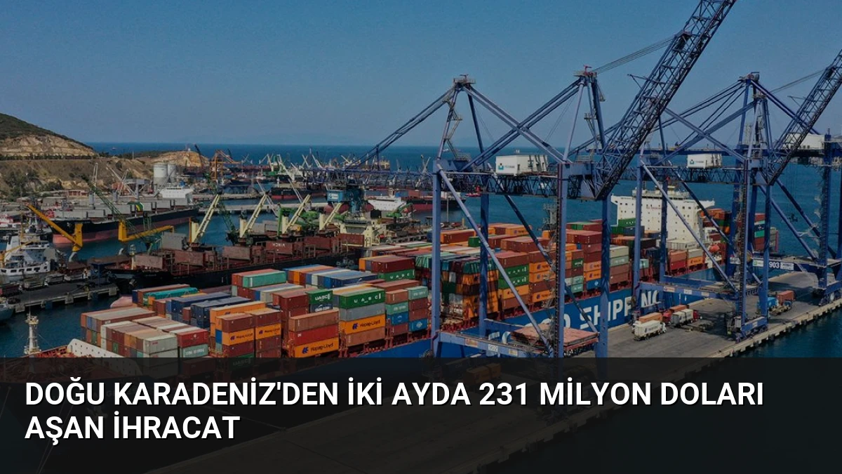 Doğu Karadeniz’den İki Ayda 231 Milyon Doları Aşan İhracat