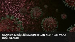 Gana'da M Çiçeği Salgını 8 Can Aldı 1038 Vaka Doğrulandı