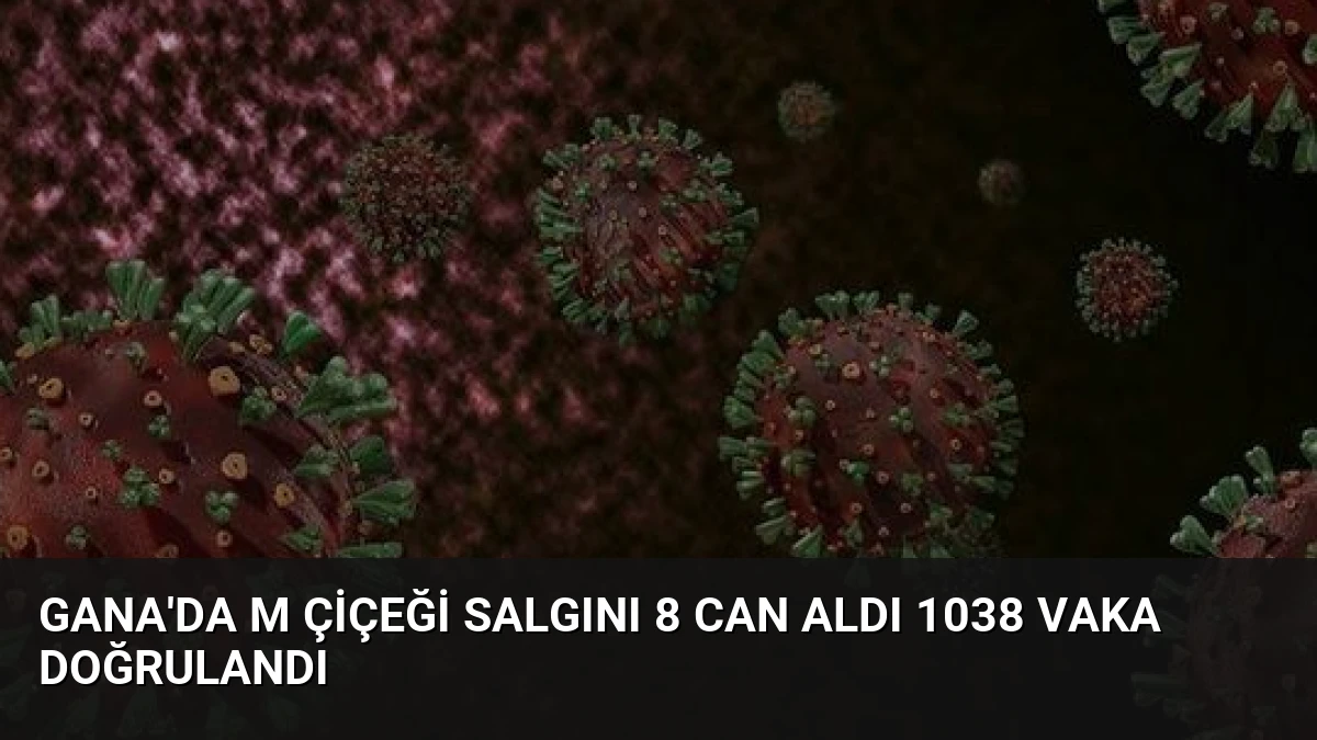 Gana’da M Çiçeği Salgını 8 Can Aldı 1038 Vaka Doğrulandı