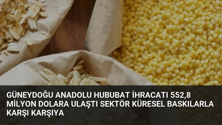 Güneydoğu Anadolu Hububat İhracatı 552,8 Milyon Dolara Ulaştı Sektör Küresel Baskılarla Karşı Karşıya