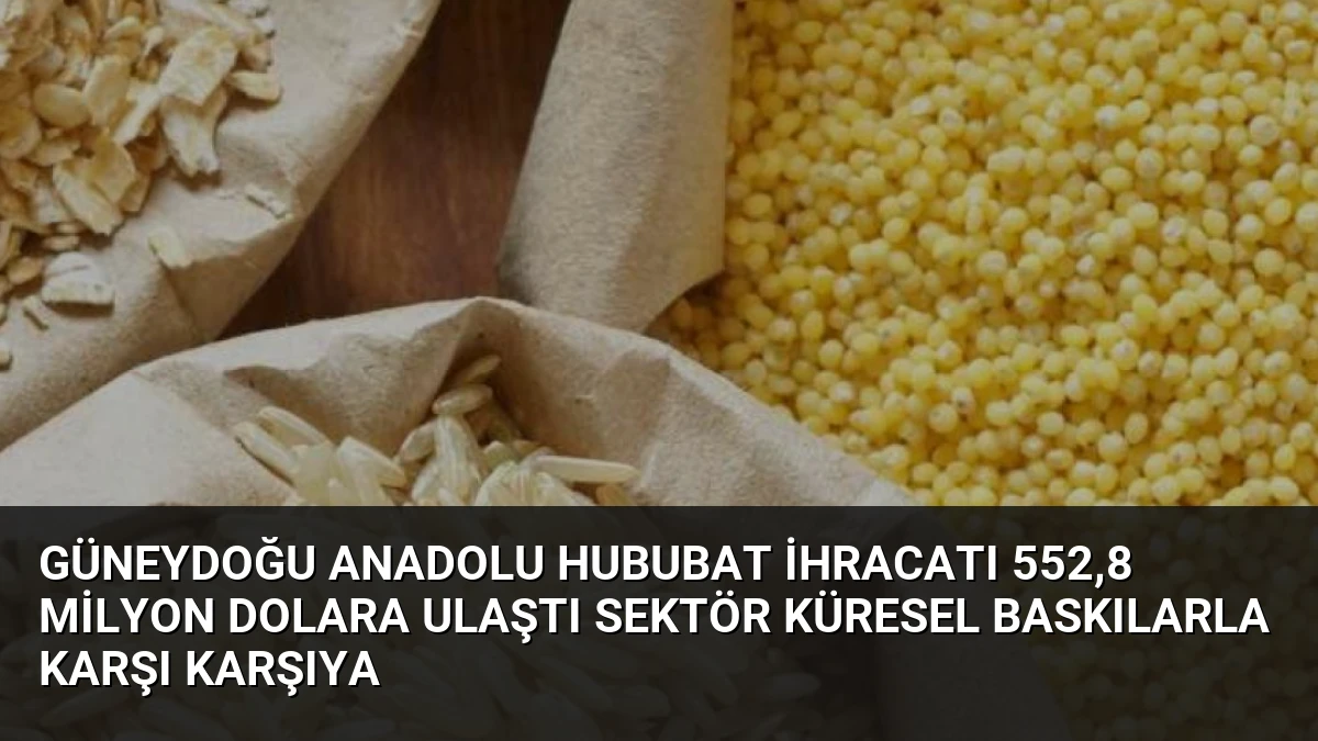 Güneydoğu Anadolu Hububat İhracatı 552,8 Milyon Dolara Ulaştı Sektör Küresel Baskılarla Karşı Karşıya