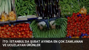 İTO: İstanbul'da Şubat Ayında En Çok Zamlanan ve Ucuzlayan Ürünler
