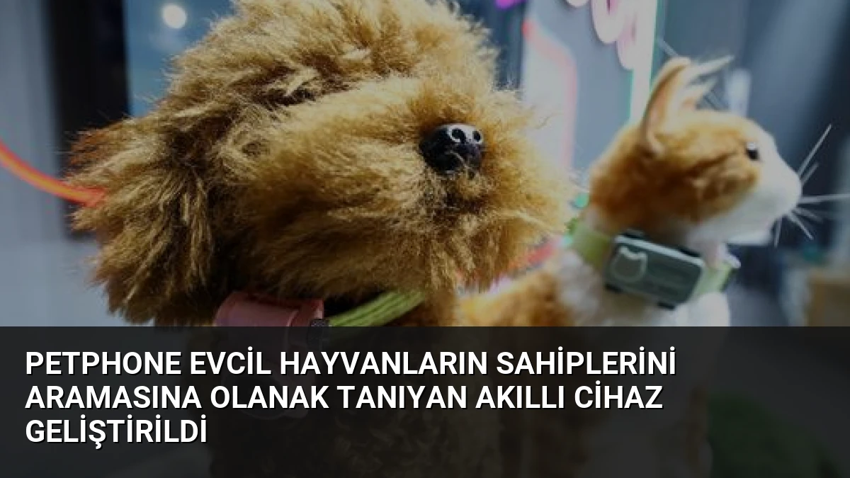 PetPhone Evcil Hayvanların Sahiplerini Aramasına Olanak Tanıyan Akıllı Cihaz Geliştirildi