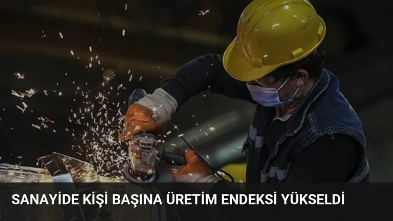 Sanayide Kişi Başına Üretim Endeksi Yükseldi