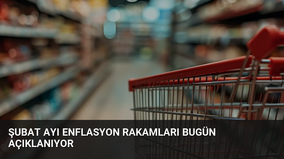 Şubat Ayı Enflasyon Rakamları Bugün Açıklanıyor
