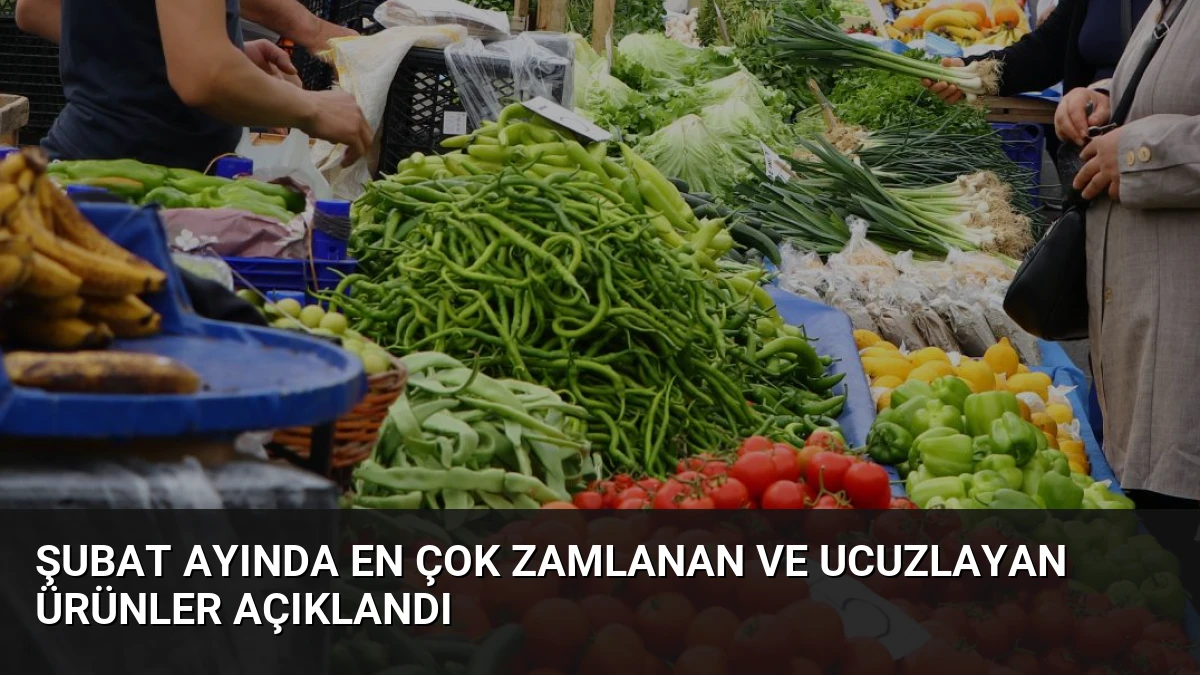 Şubat Ayında En Çok Zamlanan ve Ucuzlayan Ürünler Açıklandı