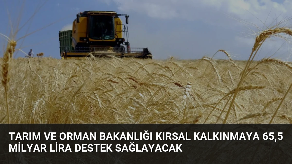 Tarım ve Orman Bakanlığı Kırsal Kalkınmaya 65,5 Milyar Lira Destek Sağlayacak