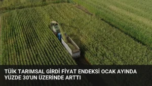 TÜİK Tarımsal Girdi Fiyat Endeksi Ocak Ayında Yüzde 30'un Üzerinde Arttı