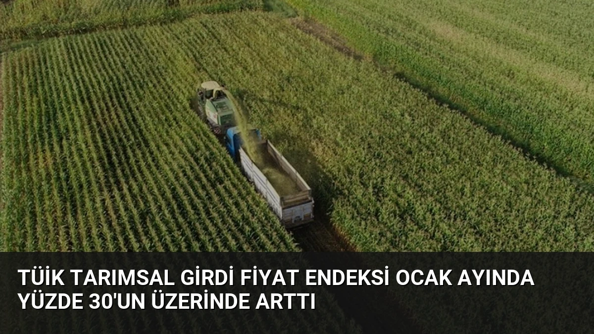 TÜİK Tarımsal Girdi Fiyat Endeksi Ocak Ayında Yüzde 30’un Üzerinde Arttı