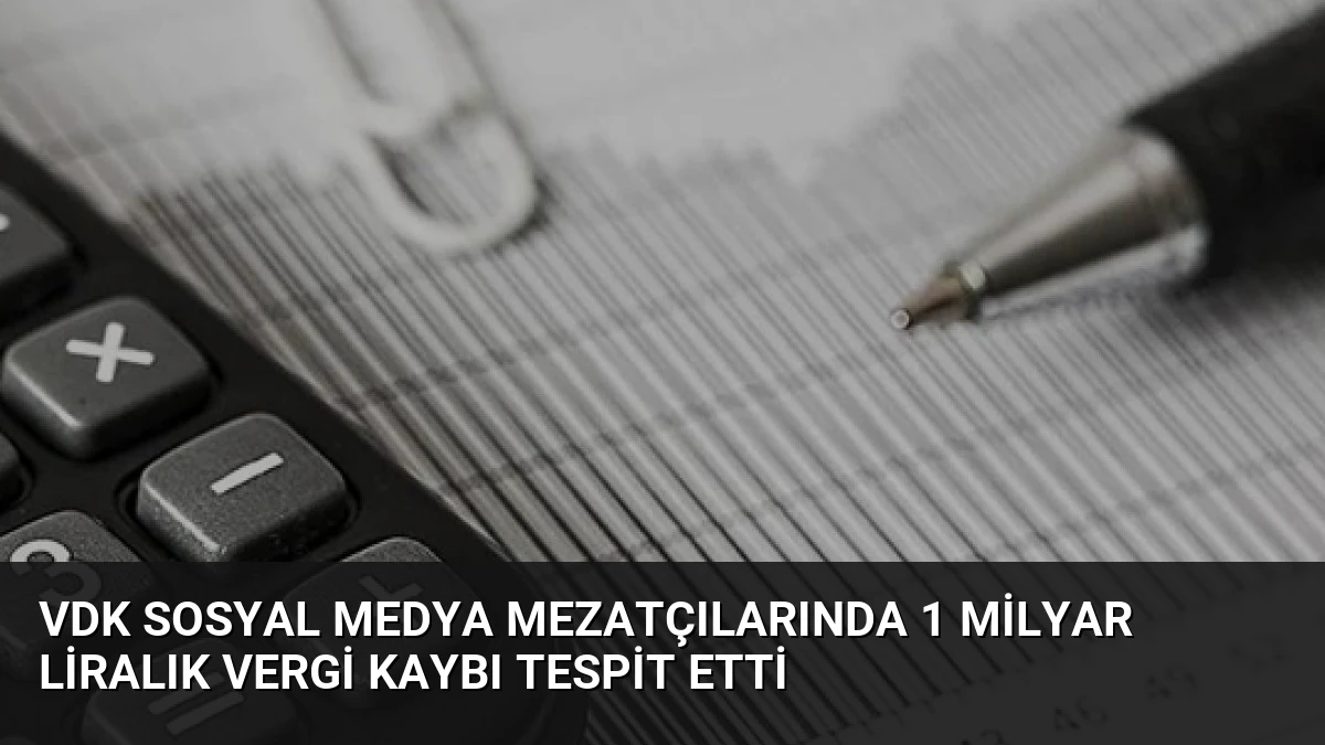 VDK Sosyal Medya Mezatçılarında 1 Milyar Liralık Vergi Kaybı Tespit Etti