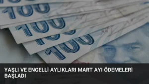 Yaşlı ve Engelli Aylıkları Mart Ayı Ödemeleri Başladı