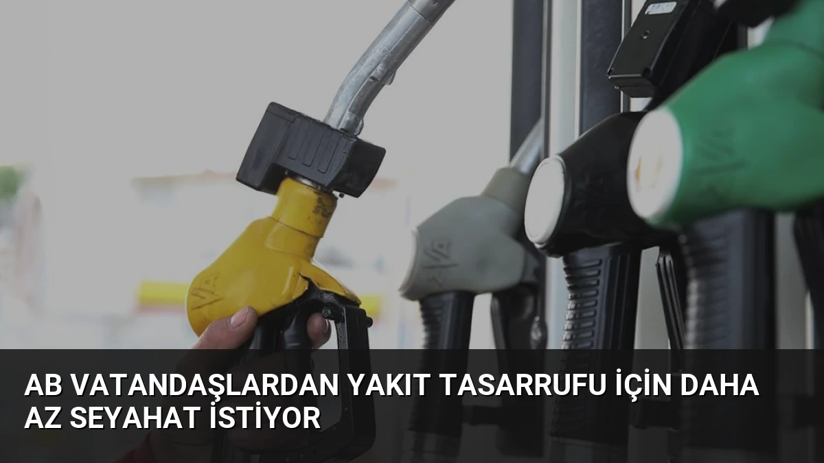 AB Vatandaşlardan Yakıt Tasarrufu İçin Daha Az Seyahat İstiyor
