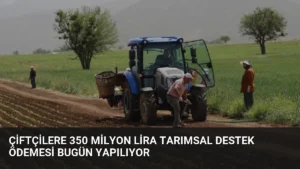 Çiftçilere 350 Milyon Lira Tarımsal Destek Ödemesi Bugün Yapılıyor