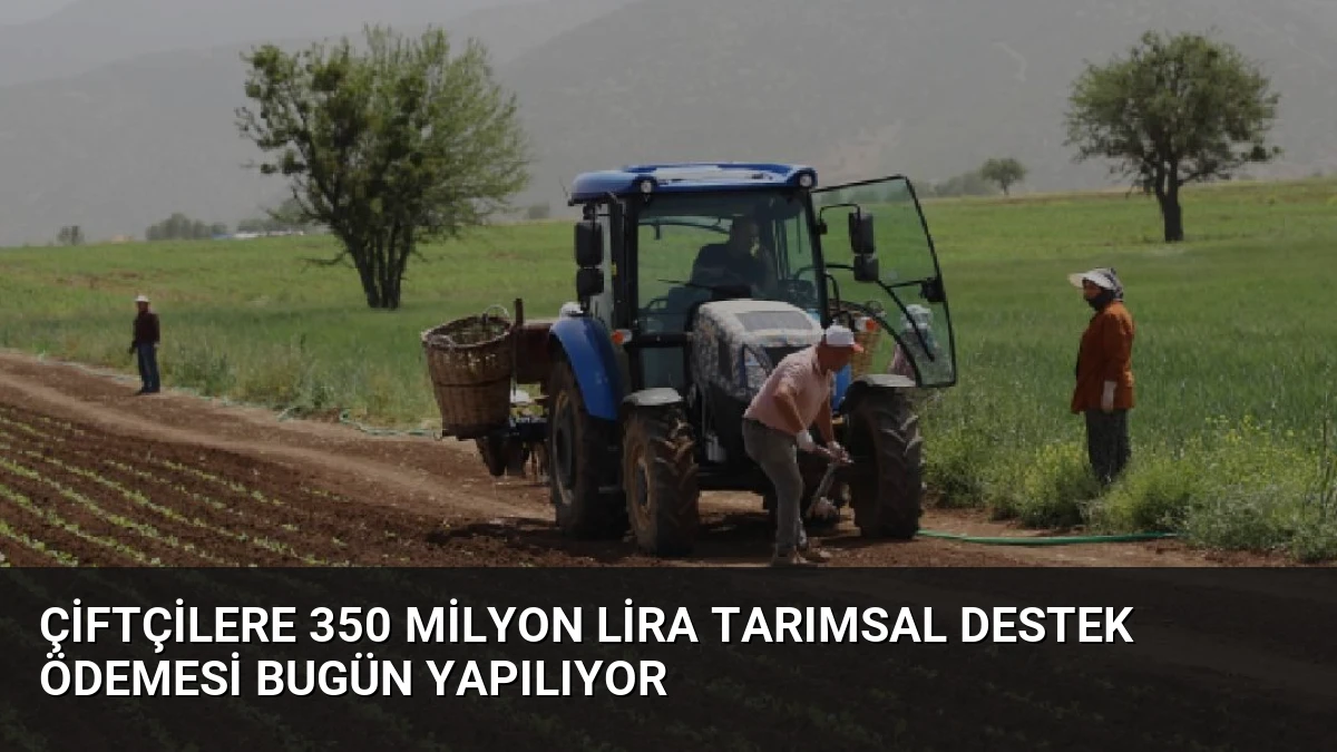 Çiftçilere 350 Milyon Lira Tarımsal Destek Ödemesi Bugün Yapılıyor