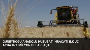 Güneydoğu Anadolu Hububat İhracatı İlk Üç Ayda 871 Milyon Doları Aştı
