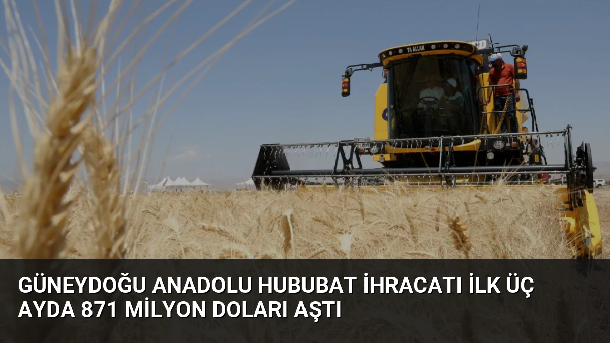 Güneydoğu Anadolu Hububat İhracatı İlk Üç Ayda 871 Milyon Doları Aştı