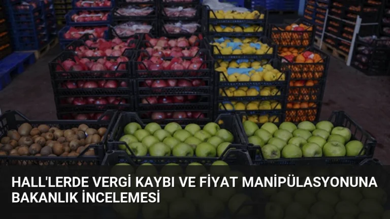 Hall’lerde Vergi Kaybı ve Fiyat Manipülasyonuna Bakanlık İncelemesi