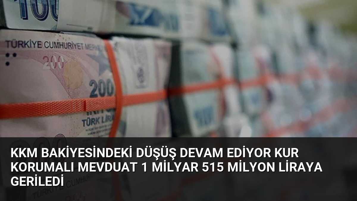 KKM Bakiyesindeki Düşüş Devam Ediyor Kur Korumalı Mevduat 1 Milyar 515 Milyon Liraya Geriledi