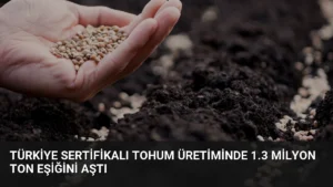 Türkiye Sertifikalı Tohum Üretiminde 1.3 Milyon Ton Eşiğini Aştı