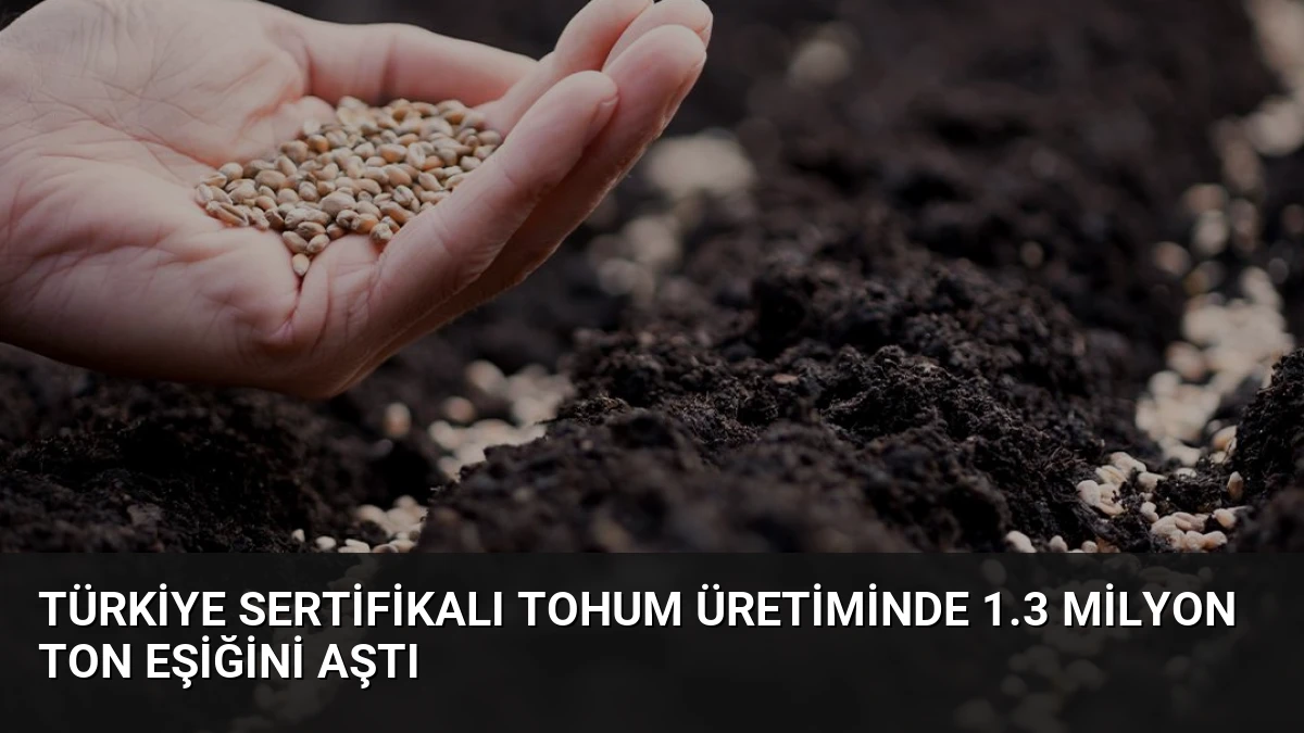 Türkiye Sertifikalı Tohum Üretiminde 1.3 Milyon Ton Eşiğini Aştı