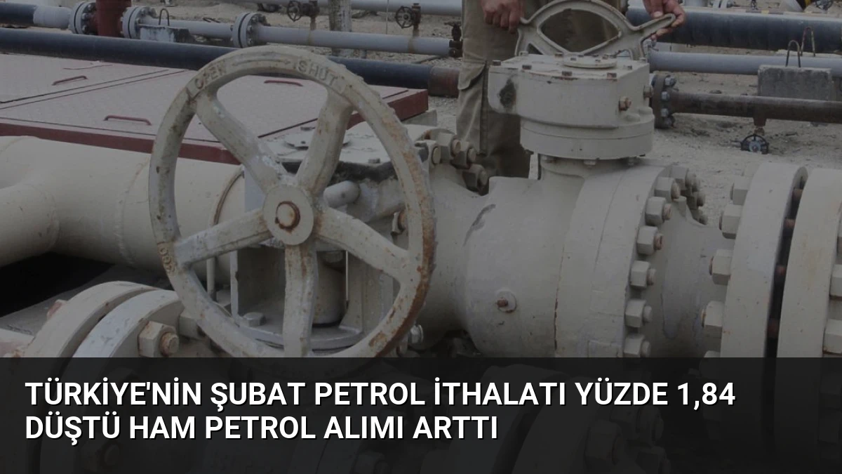 Türkiye’nin Şubat Petrol İthalatı Yüzde 1,84 Düştü Ham Petrol Alımı Arttı