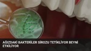 Ağızdaki Bakteriler Sirozu Tetikliyor Beyni Etkiliyor