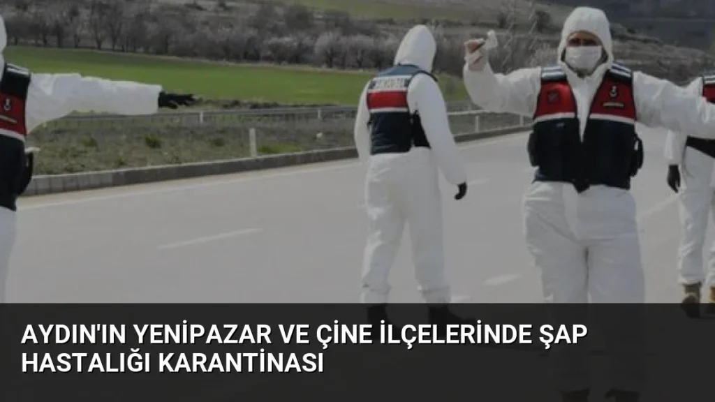 Aydın'ın Yenipazar ve Çine İlçelerinde Şap Hastalığı Karantinası