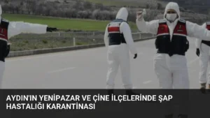 Aydın'ın Yenipazar ve Çine İlçelerinde Şap Hastalığı Karantinası