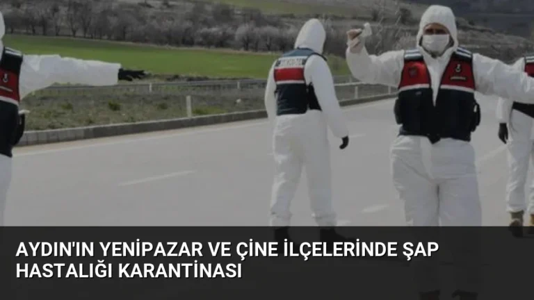 Aydın'ın Yenipazar ve Çine İlçelerinde Şap Hastalığı Karantinası