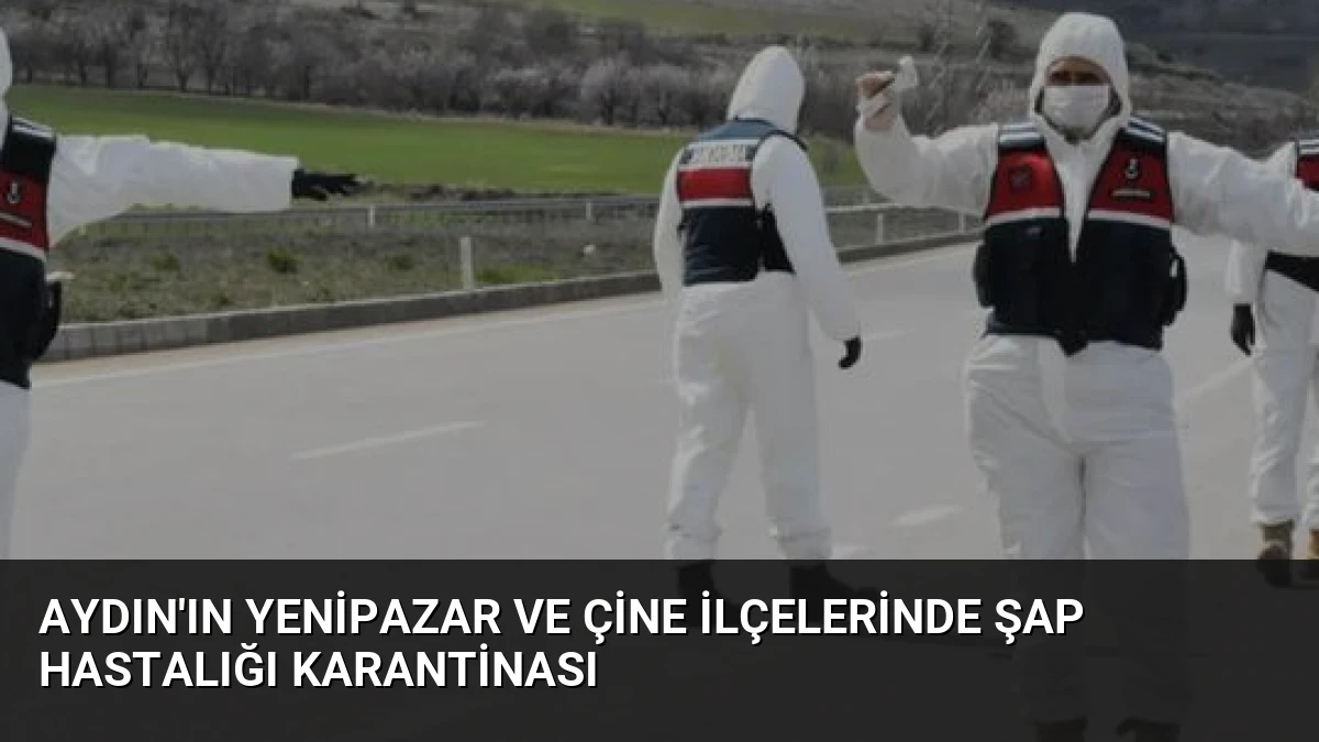 Aydın’ın Yenipazar ve Çine İlçelerinde Şap Hastalığı Karantinası