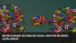 Beyin Karışık Kelimeleri Nasıl Okuyor Bilimsel Açıklaması