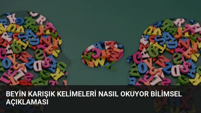 Beyin Karışık Kelimeleri Nasıl Okuyor Bilimsel Açıklaması