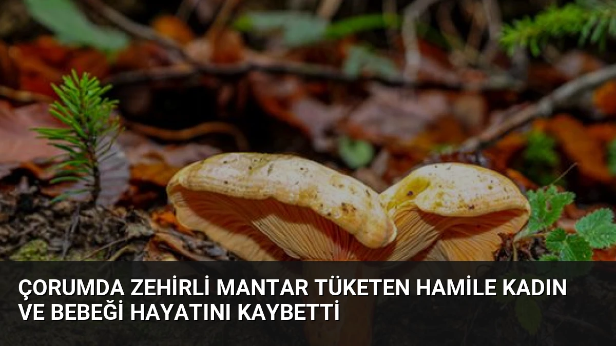 Çorumda Zehirli Mantar Tüketen Hamile Kadın ve Bebeği Hayatını Kaybetti