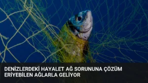 Denizlerdeki Hayalet Ağ Sorununa Çözüm Eriyebilen Ağlarla Geliyor