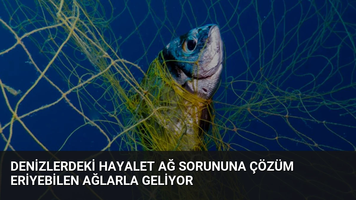 Denizlerdeki Hayalet Ağ Sorununa Çözüm Eriyebilen Ağlarla Geliyor