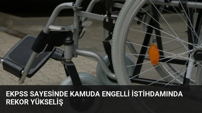 EKPSS Sayesinde Kamuda Engelli İstihdamında Rekor Yükseliş
