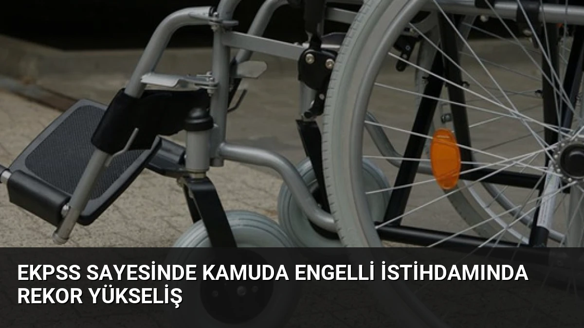 EKPSS Sayesinde Kamuda Engelli İstihdamında Rekor Yükseliş