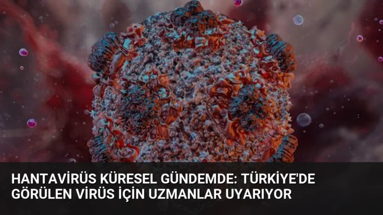 Hantavirüs Küresel Gündemde: Türkiye’de Görülen Virüs İçin Uzmanlar Uyarıyor