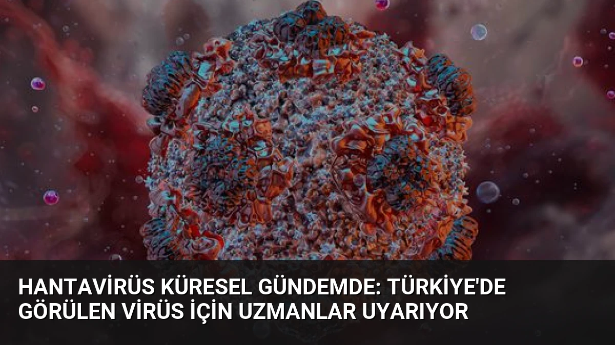 Hantavirüs Küresel Gündemde: Türkiye’de Görülen Virüs İçin Uzmanlar Uyarıyor