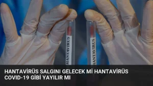 Hantavirüs Salgını Gelecek mi Hantavirüs COVID-19 Gibi Yayılır mı