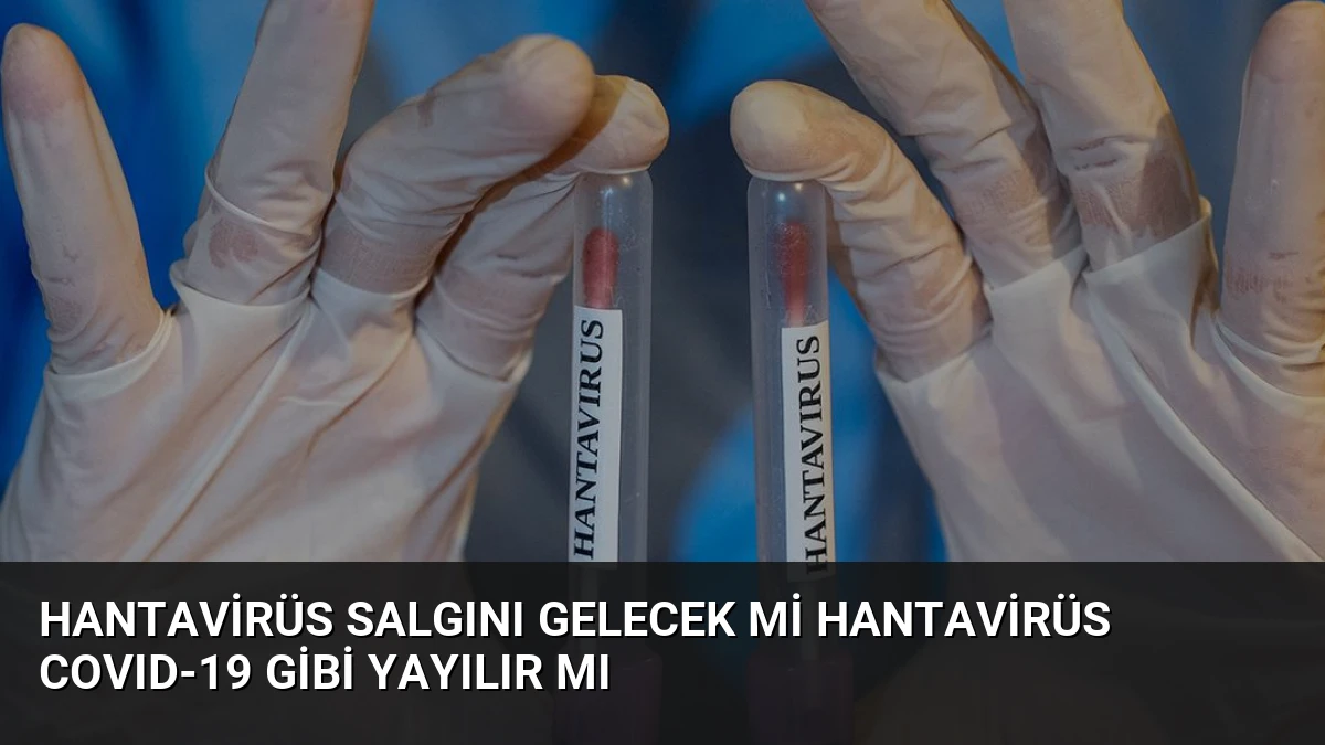 Hantavirüs Salgını Gelecek mi Hantavirüs COVID-19 Gibi Yayılır mı