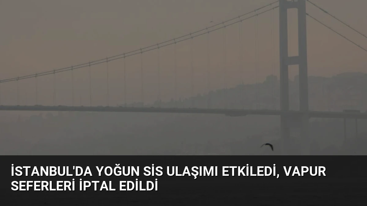 İstanbul’da Yoğun Sis Ulaşımı Etkiledi, Vapur Seferleri İptal Edildi