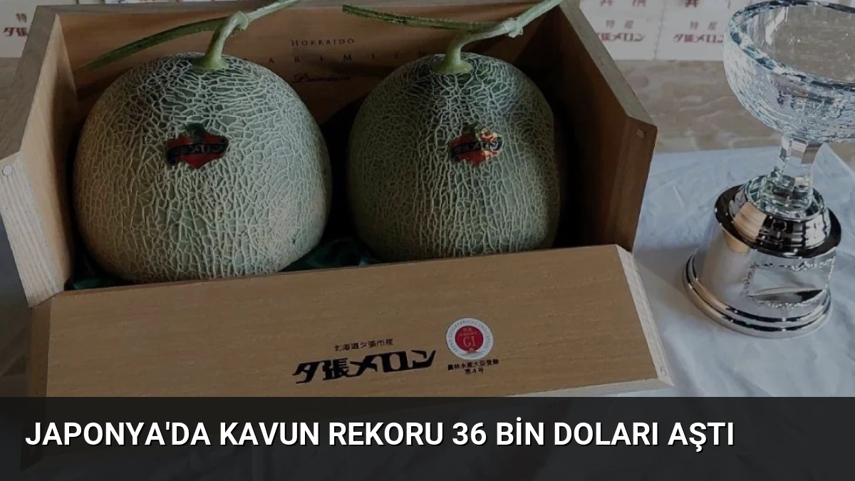 Japonya’da Kavun Rekoru 36 Bin Doları Aştı