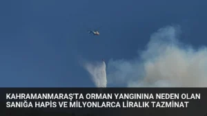 Kahramanmaraş'ta Orman Yangınına Neden Olan Sanığa Hapis ve Milyonlarca Liralık Tazminat