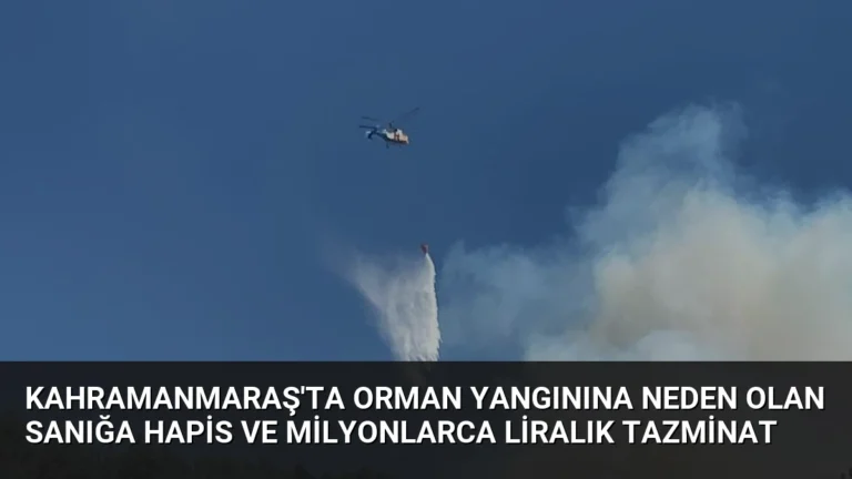 Kahramanmaraş’ta Orman Yangınına Neden Olan Sanığa Hapis ve Milyonlarca Liralık Tazminat